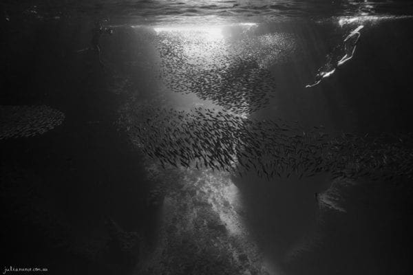 underwater photography of Girl Diving in cave by Julia Nance