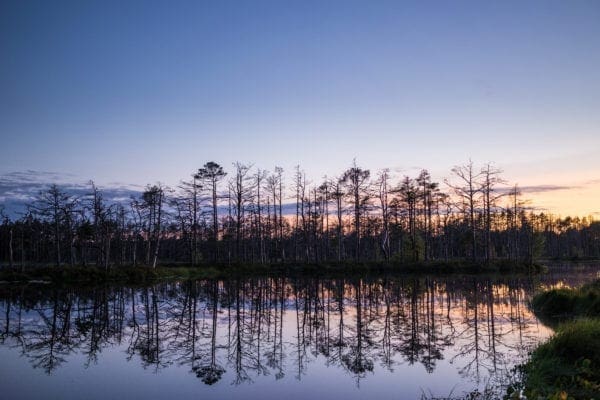 water reflections at sunset in Latvia