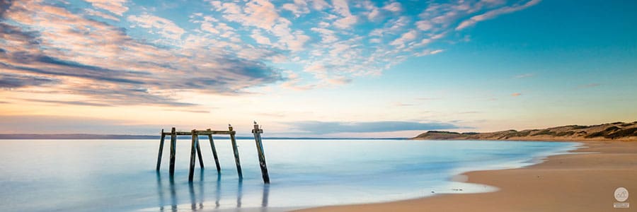 Maddison Falls Photography - Panoramic Beach Landscape